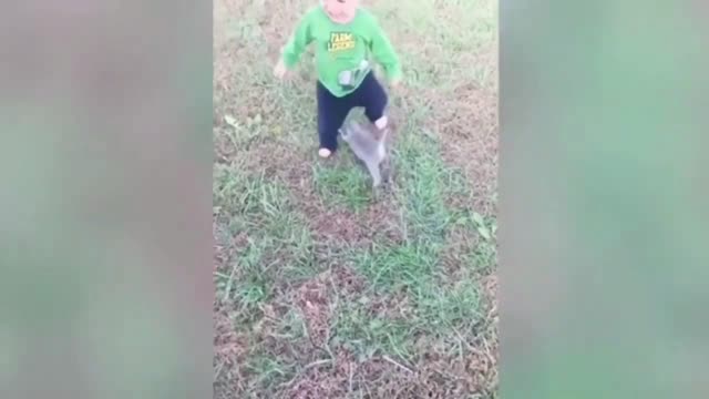 Cute Babies Playing With Dogs | Funny Baby And Pets