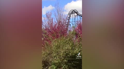 Daisy Daisy creepy TikTok trend PART 167