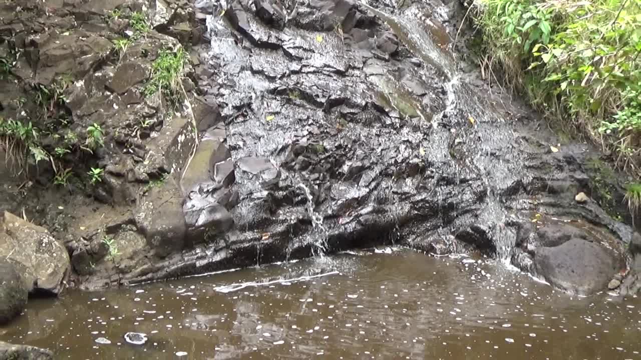 Honolulu, HI — Ka'au Crater Trail #3