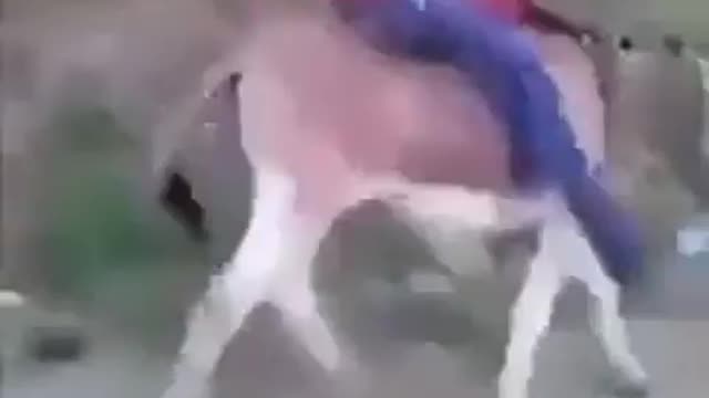 Laughing video