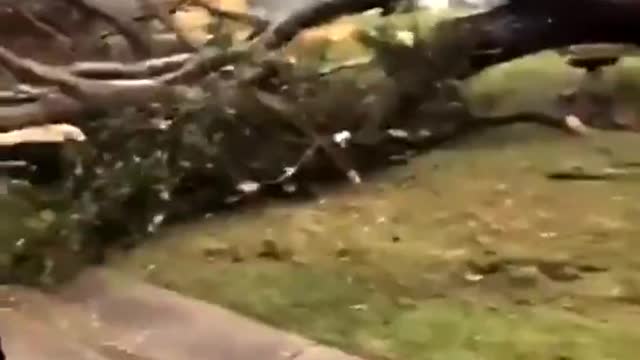 Tornado Tears Through Neighborhood