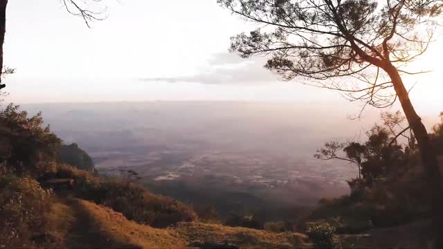 Elephant, LION, WILD WILD WILD BEAUTIFUL NATURAL Music BY Daniel Deuschle