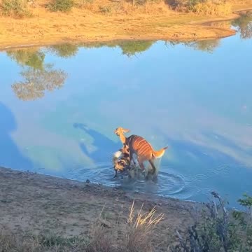 narrowly escaping 😱😱😱