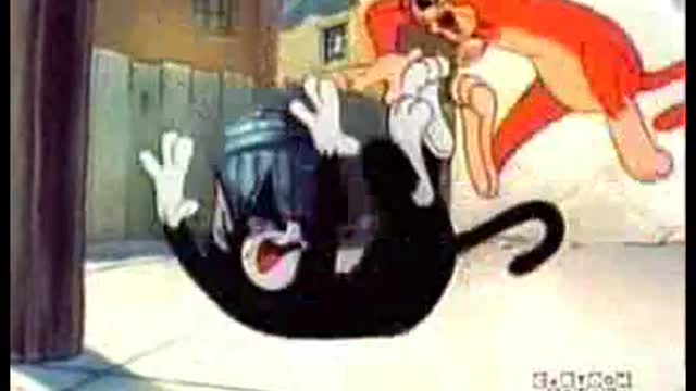 Tom and Jerry show