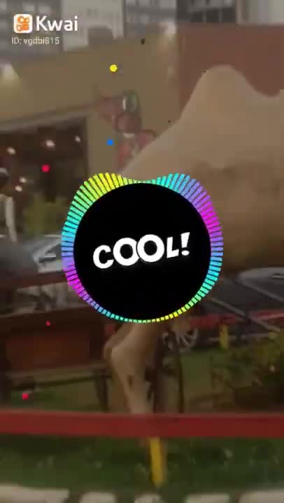 camelo vs cavalo mix music #shorts.mp4