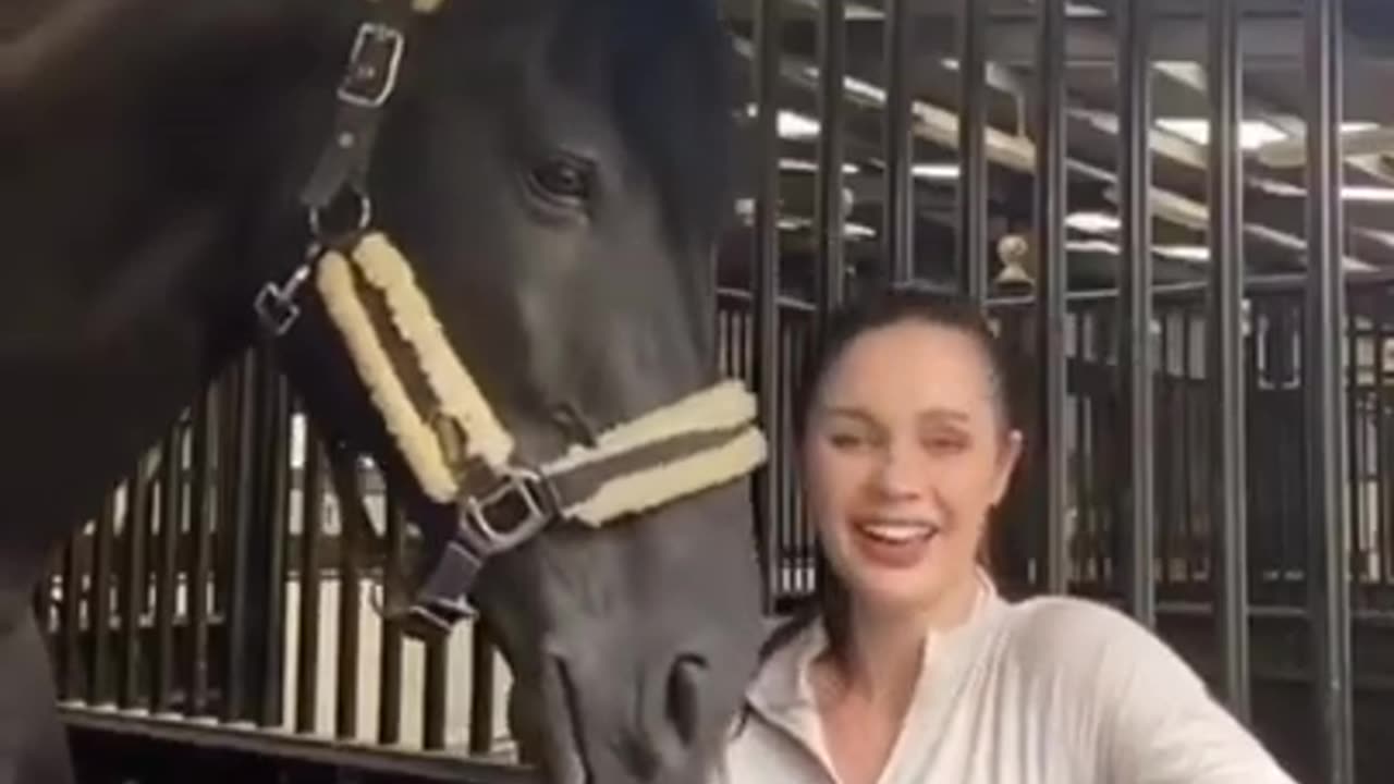 funny horse playing with lady #shorts #funnyanimals