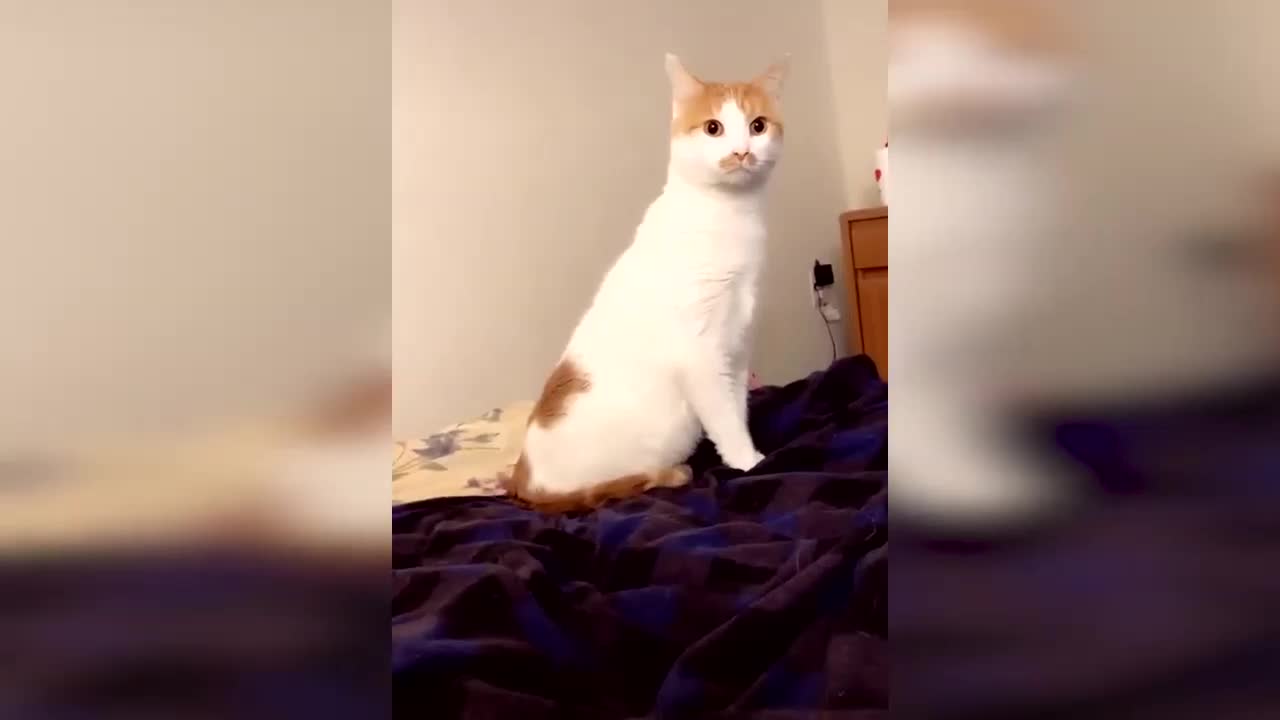 Что с ним не так?