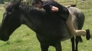 How not to ride a horse