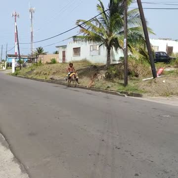 Wild donkey bare back riding in Dieppe Bay - St Kitts