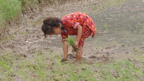 little girl rice padding