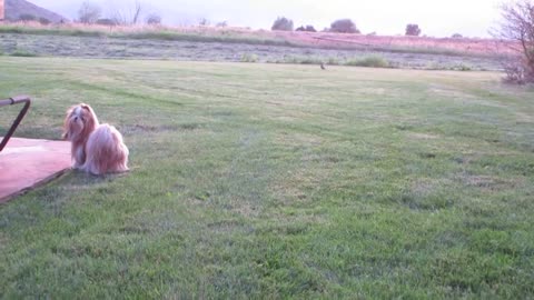 This Is Pretty Epic (Vlogust / August 6, 2013)