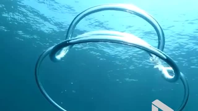 Cool Underwater Bubble Rings In Slow Motion