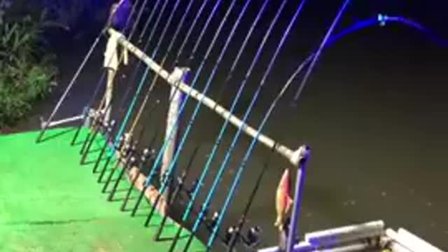 Best Fishing Video