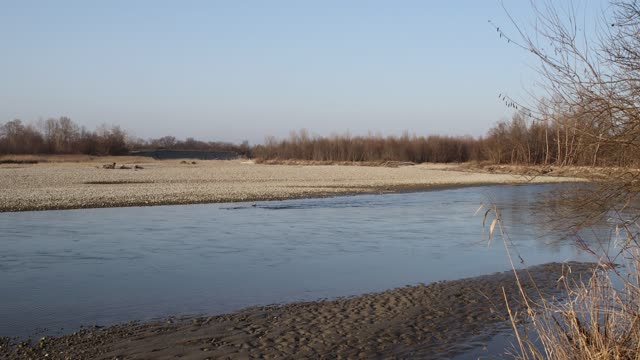 Relaxing sounds of nature, the sound of water, the singing of forest birds, the sounds of the forest