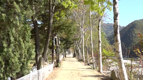 Various Autumn Views of Korea 12