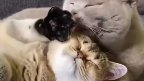 Bath Time
