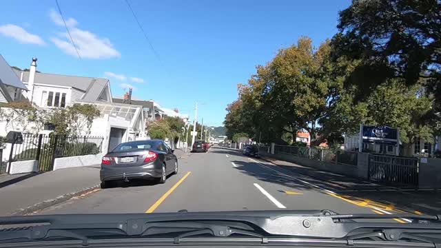 Eyes of Dashcam from New Zealand