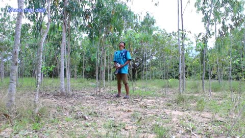 A Very Simple Wild Cat Trap Using Nets in a Traditional Way