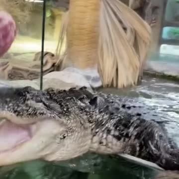 #shotoniphone meme #33 😱 RUN!!! 😱