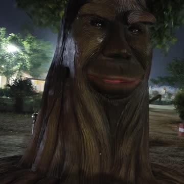 Talk this tree its amazing