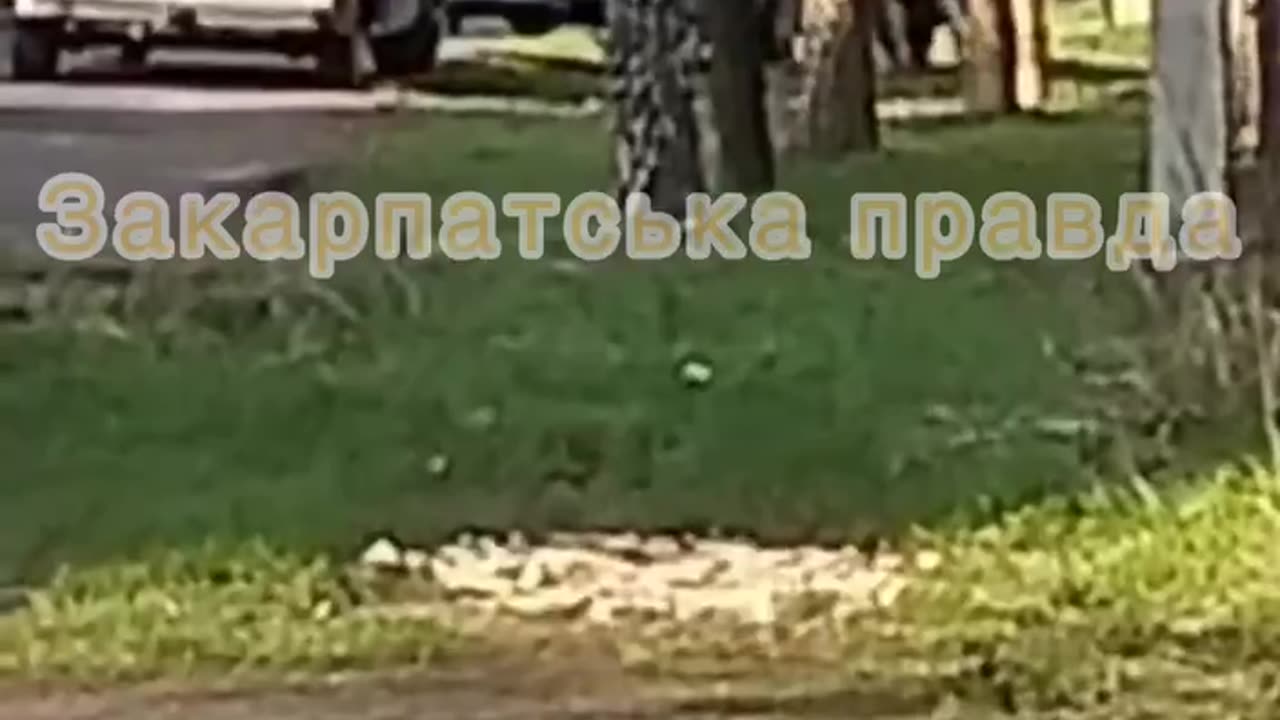 A poor Ukrainian person fractured his back while resisting recruitment