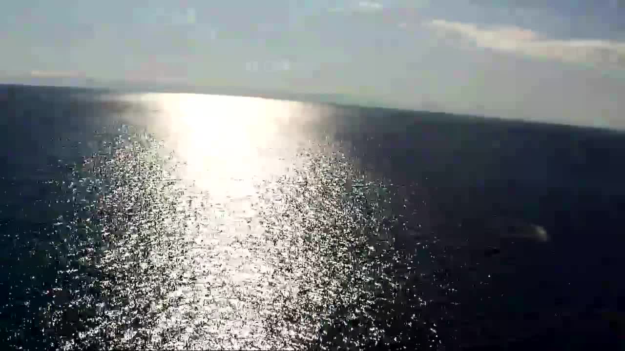 Lake Baikal near Listvyanka village. Who swims there in the depths?