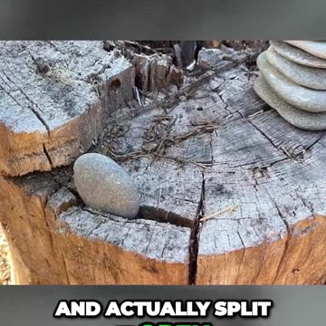 Mysterious Bigfoot Encounters_ Unexplained Rock Moves and Startling Footprint Discovery!