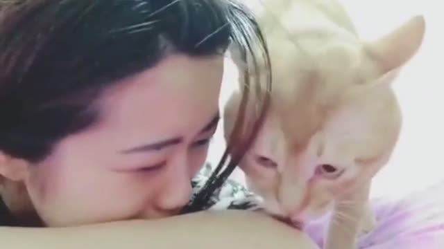 a cat who really cares about feelings