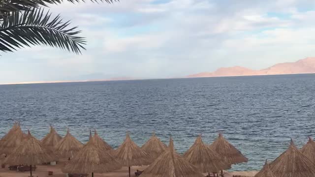 Red Sea , the best view ever