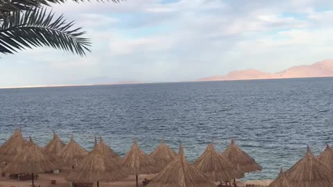 Red Sea , the best view ever