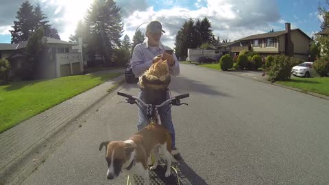 Three biking buddies