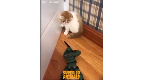 Cute kitten being scared for toyarmy