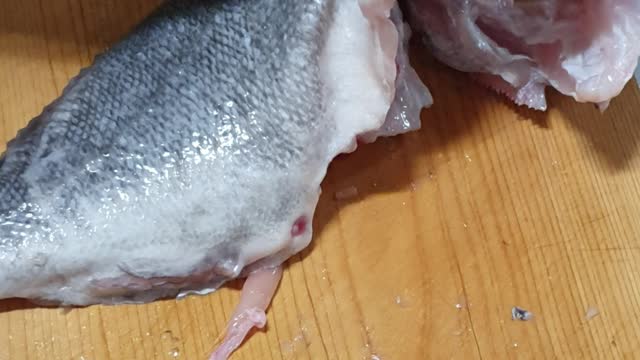 Korean rockfish sashimi video