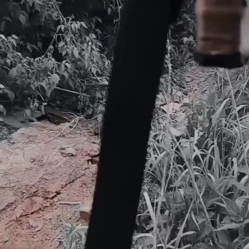 Fighters of the 2nd battalion of the 101st Separate Guards Assault Brigade are