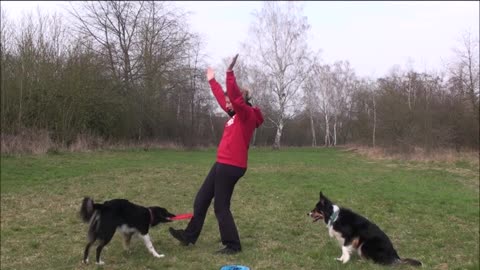 Dog training and tricks 🐶🐶🐶