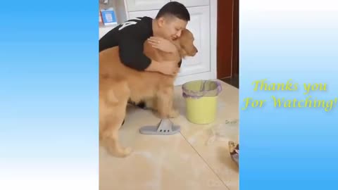 Funny Cat videos 😂😂