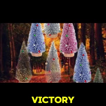 The Ancient Symbolism of Evergreen Trees!