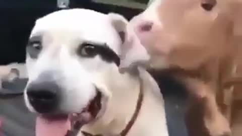Buen día gente😘