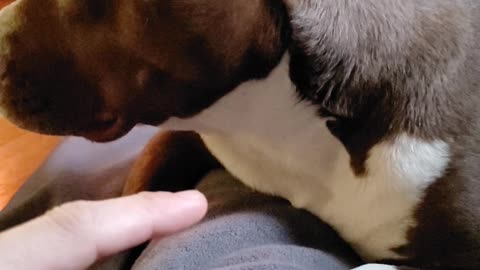 Bugging Her
