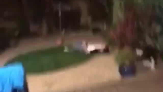 White shirt guy front flips onto butt on grass and lets out long scream