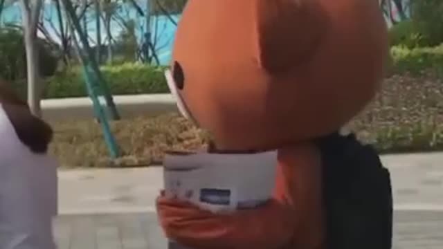 Funny Panda video