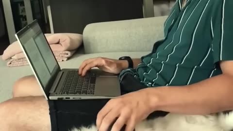 Funniest cats In The World Funny and Fails Pets Video #shorts #54 #cats #funny #animals