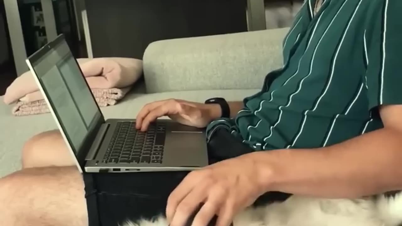 Funniest cats In The World Funny and Fails Pets Video #shorts #54 #cats #funny #animals