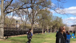 Kite Day in Washington D.C.