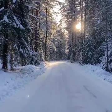 Beautiful snowy winter wonderland scenery 😍