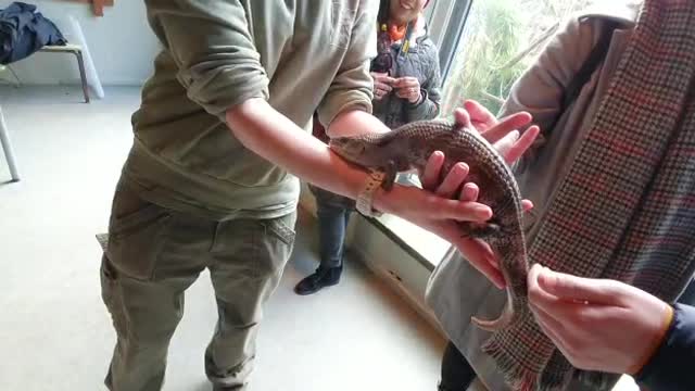 Unique Creature in Edinburgh Zoo