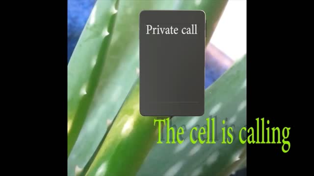 The Cell is calling...