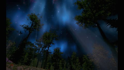 Starry Night Secrets: Trees, Stars, and Celestial Lights| First time-Slander(piano)