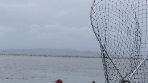 Invasive Cormorants on the Columbia River