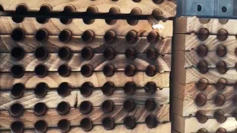 Mason Bee Day 8 Part 2